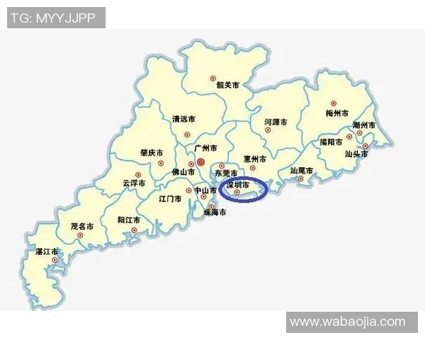 深圳羽毛球队实力对比深度解析与未来发展趋势探讨 深圳羽毛球队实力对比深度解析与未来发展趋势探讨