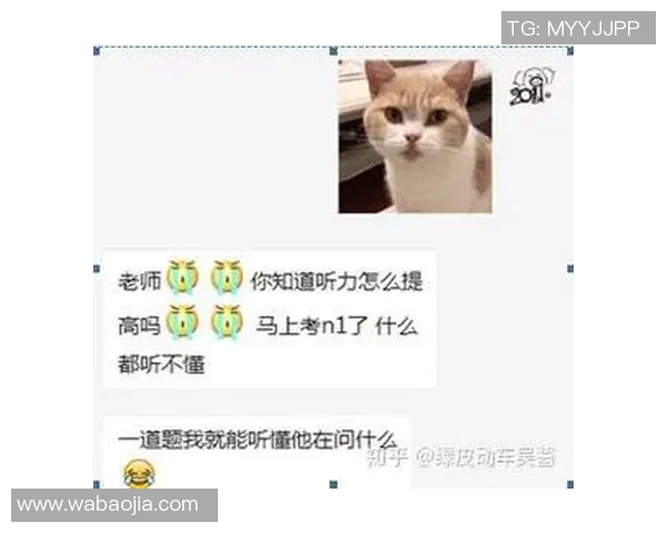 刘敏独家揭秘足球技巧与心得分享助你提升球技与战术理解