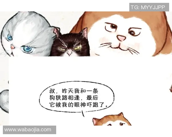 最爱吹牛的足球明星们的传奇故事与夸张言论大盘点