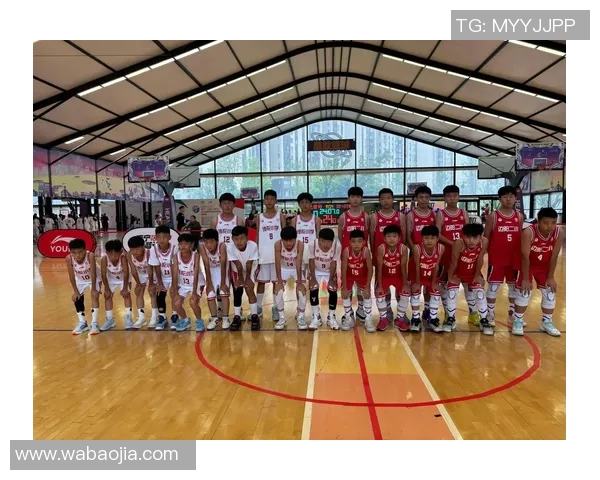 武汉篮球队的节奏解析：深度剖析球队战术与风格的背后故事