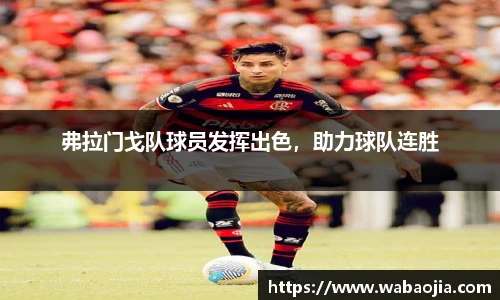 弗拉门戈队球员发挥出色，助力球队连胜