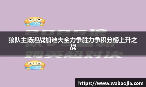 狼队主场迎战加迪夫全力争胜力争积分榜上升之战